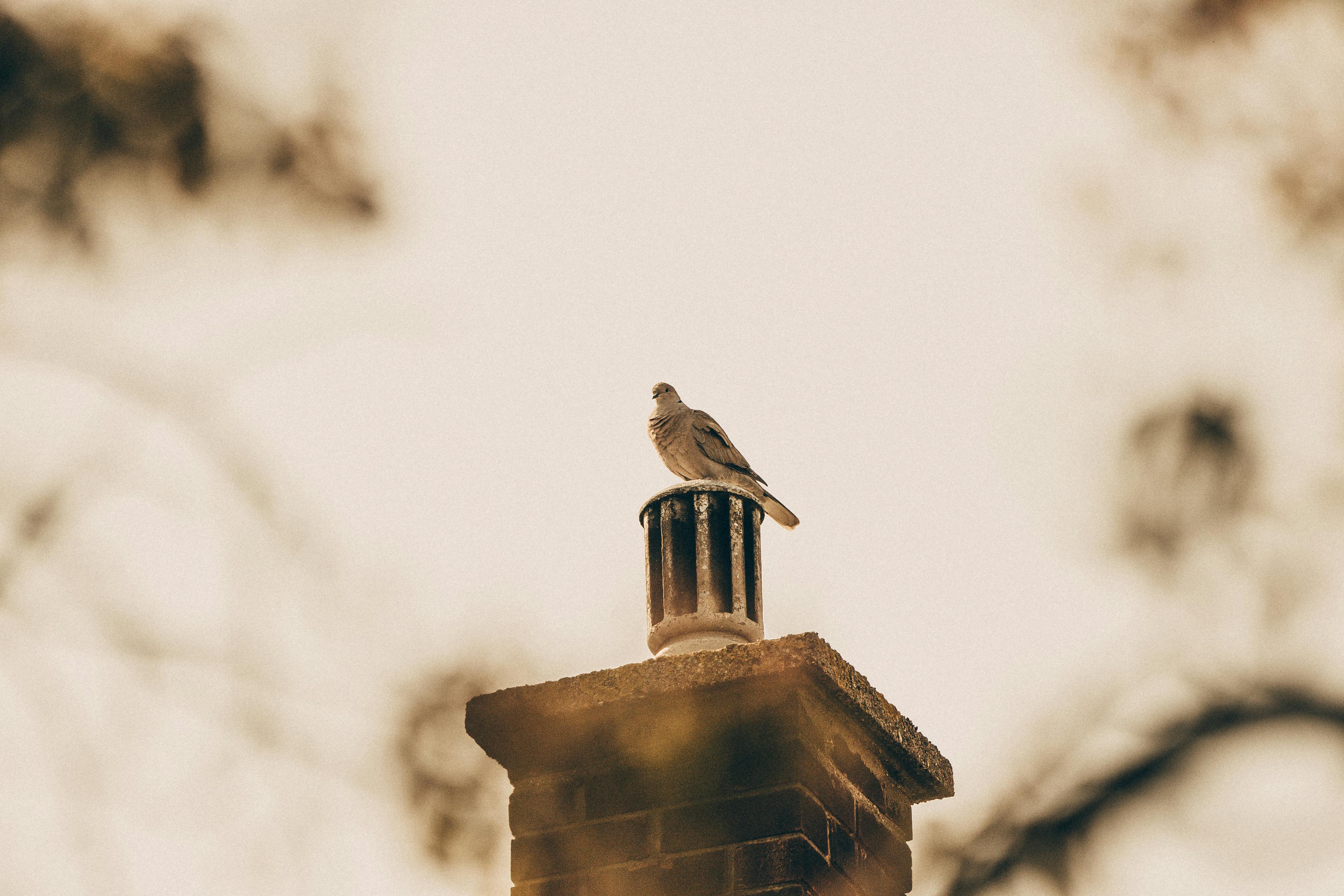 Quality Chimney Caps and Dampers Installation in Laguna Beach, CA Professional Chimney Cap and Damper In Laguna Beach California